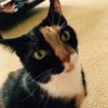 erin_b_peeps